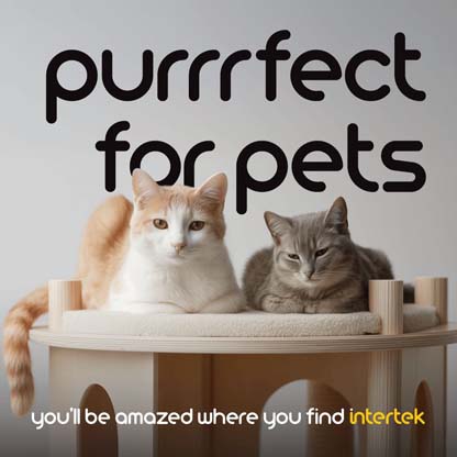 Two housecats sitting in a loft