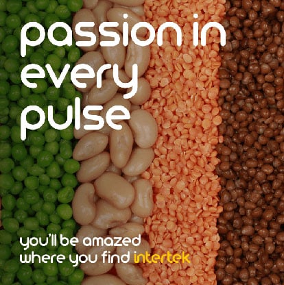 Various types of beans arranged in rows next to each other